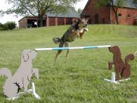 Neele über die Hundehürde
