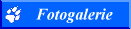 Hier geht�s zur Fotogalerie