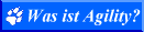 Was ist Agility?